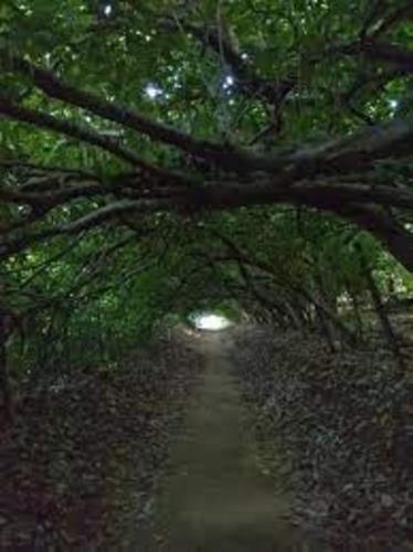 ts hotel taman rinting