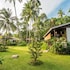 1511 coconut grove