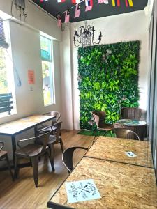 sleepbox hotel hostel