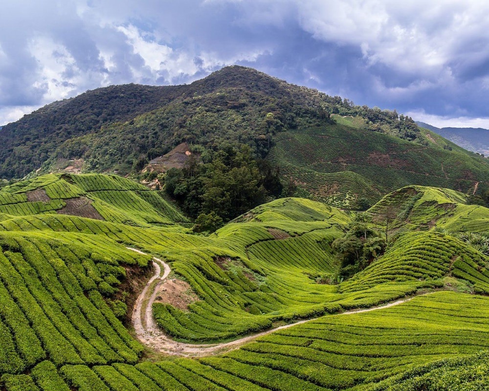 sleepbox hotel hostel