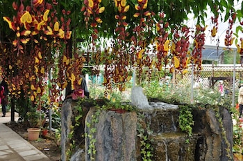 sleepbox hotel hostel