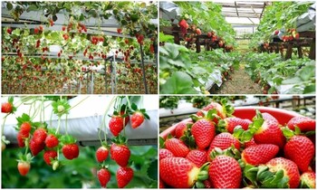 sleepbox hotel hostel