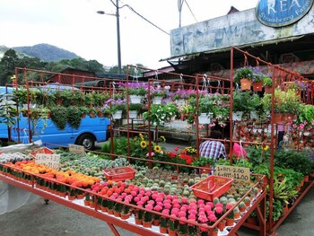 sleepbox hotel hostel