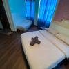 suria cameron hotel
