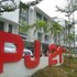 my homie hotel pj