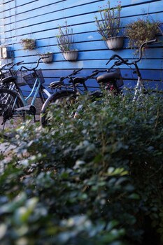 lan tao sha homestay