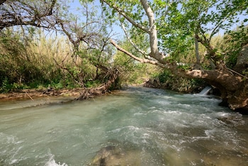 qiryat shemona