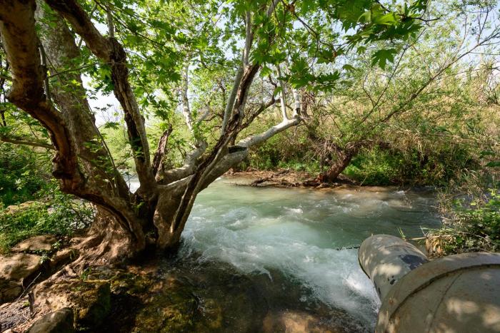 magical in the galilee