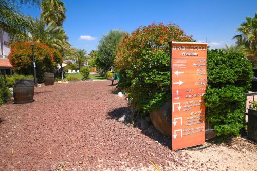 magical in the galilee