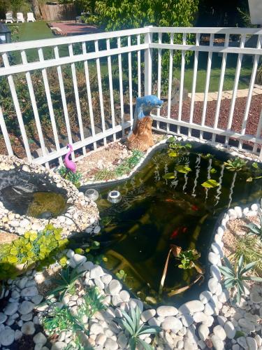 magical in the galilee