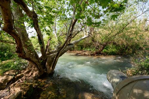 magical in the galilee