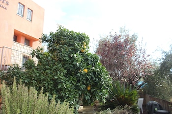safed