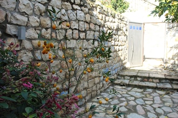 safed