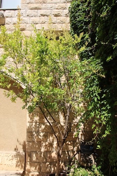 safed