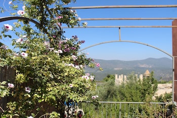 safed