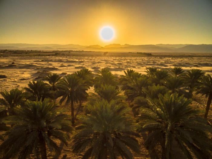 lotan desert travel hotel