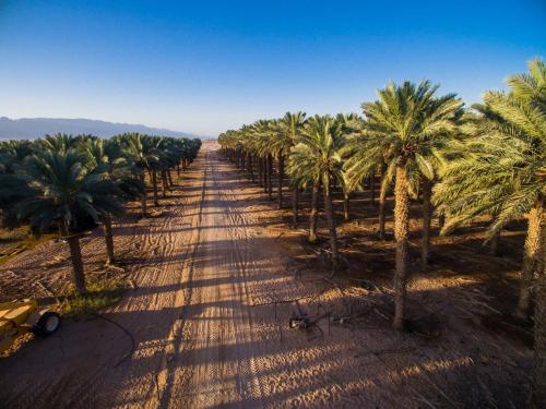 lotan desert travel hotel