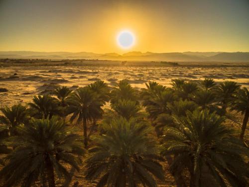 lotan desert travel hotel