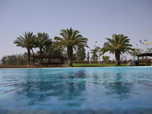 lotan desert travel hotel