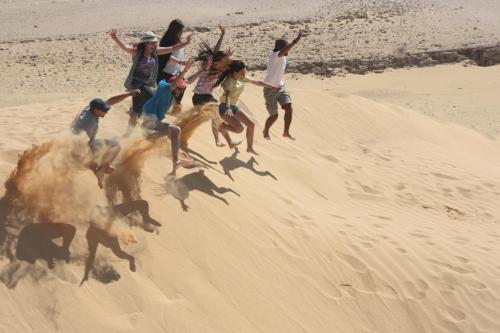 lotan desert travel hotel