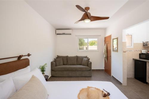 lotan desert travel hotel