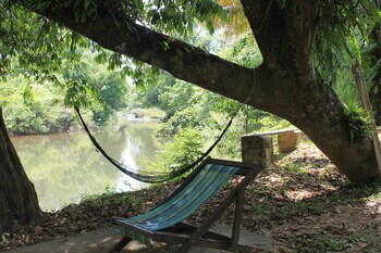 khaosok river camp