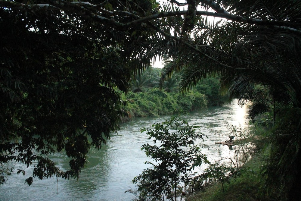 khaosok river camp