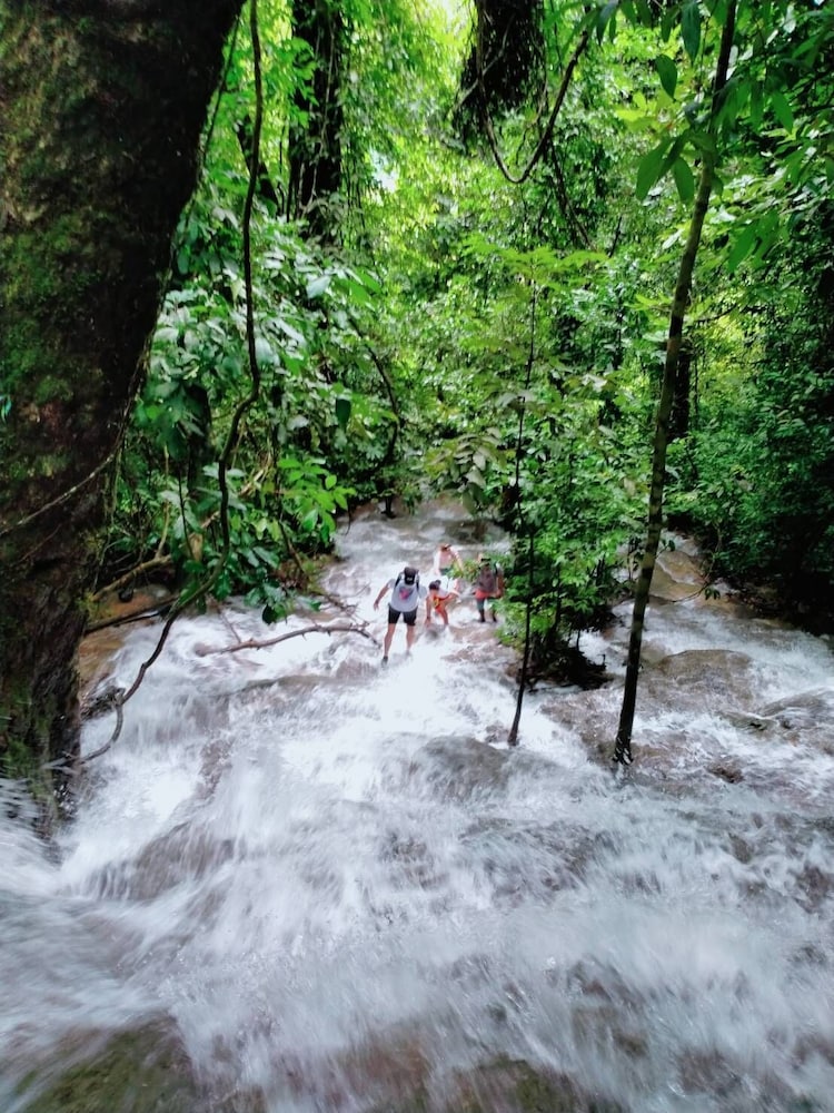 khaosok river camp