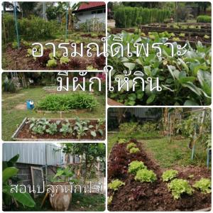 nong khai