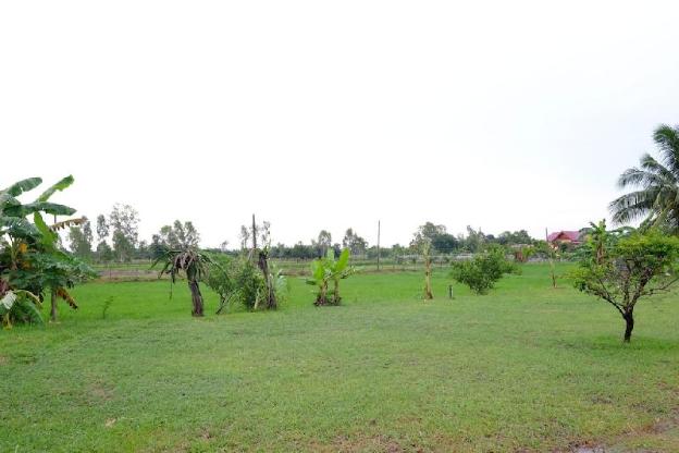 phang khon