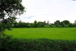 phang khon