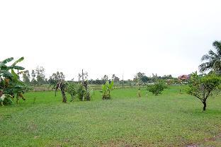 phang khon