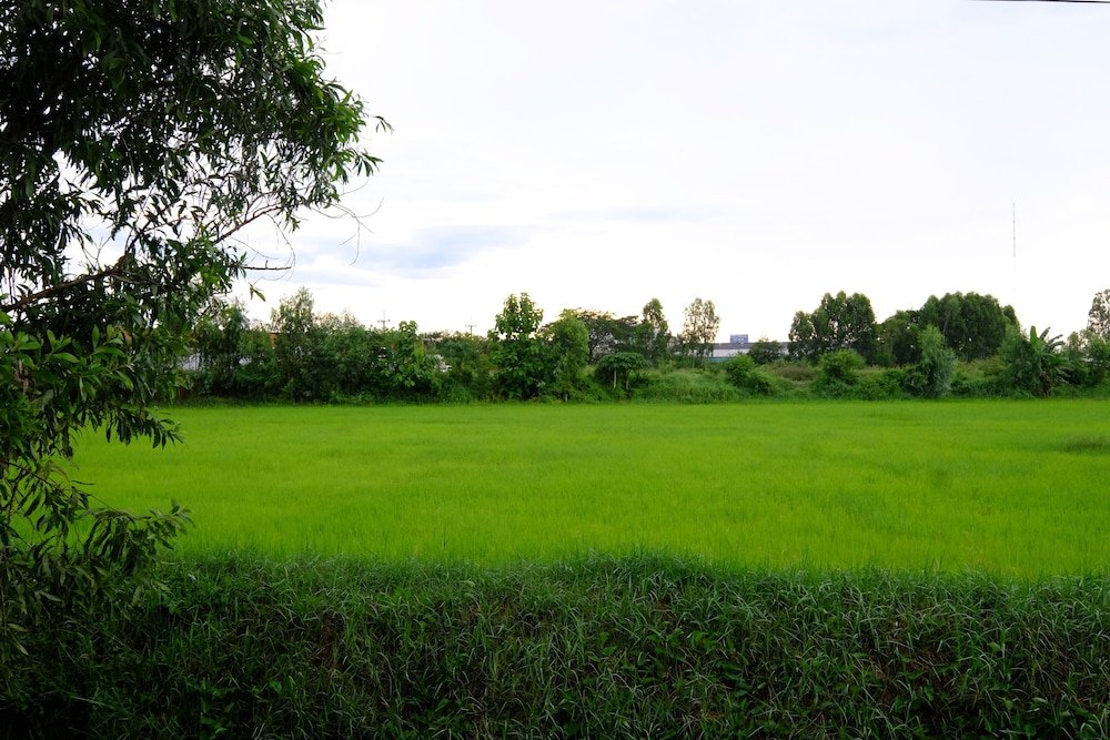 phang khon