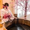 sakura yama resort