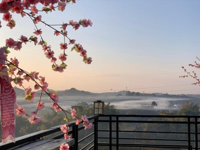 sakura yama resort
