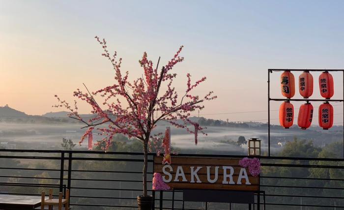 sakura yama resort