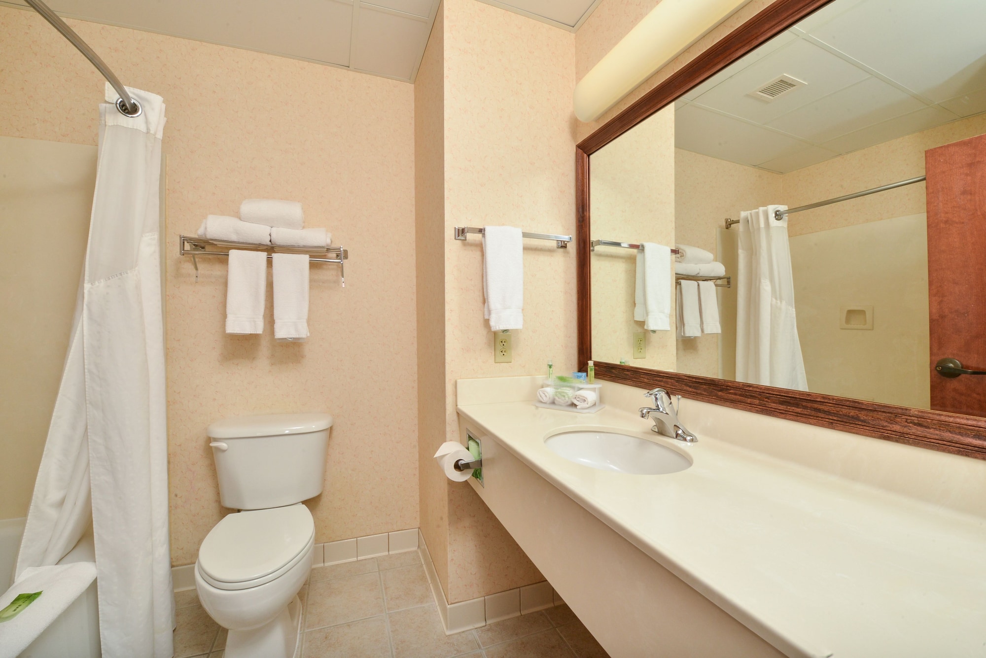 holiday inn express campbellsville by ihg
