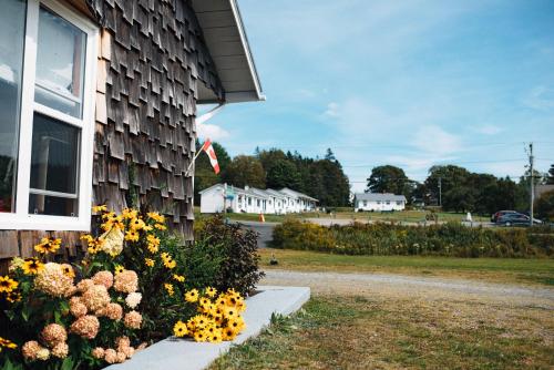 campobello island