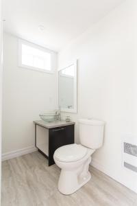 whale house guest house