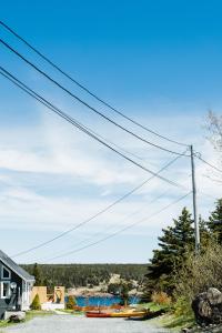 whale house guest house