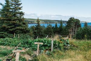 whale house guest house