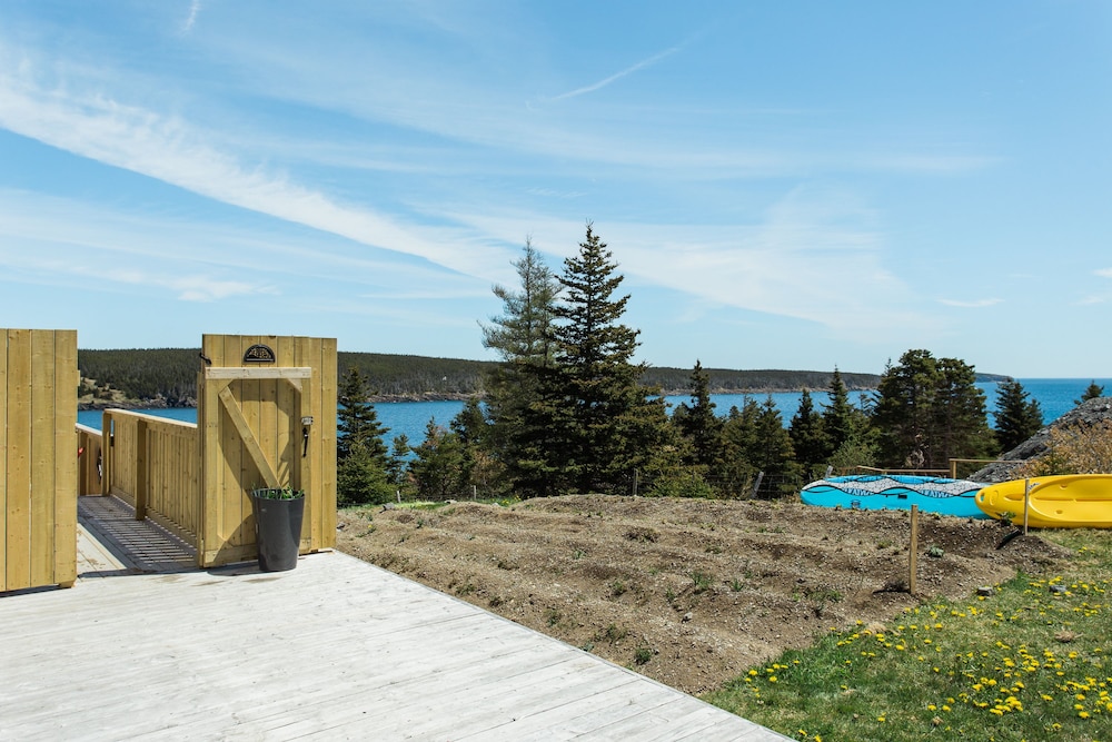 whale house guest house