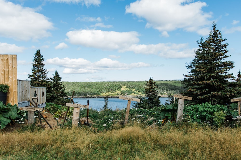 whale house guest house