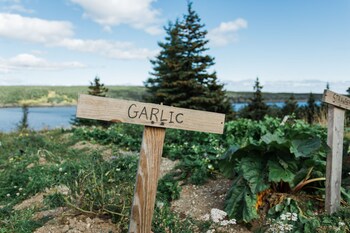 whale house guest house