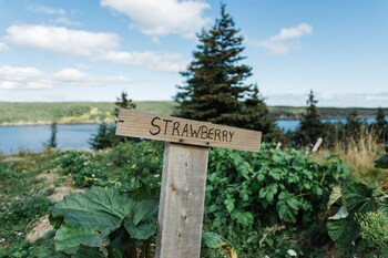 whale house guest house