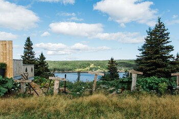 whale house guest house