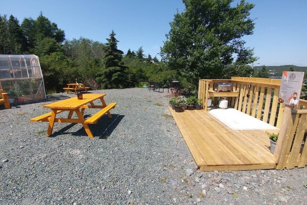 whale house guest house