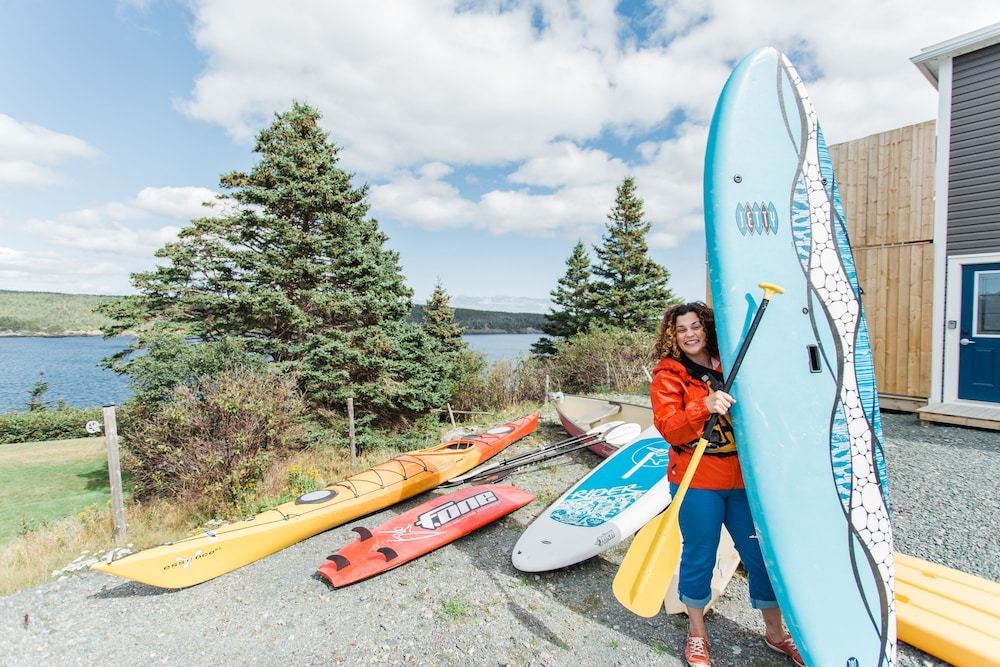 whale house guest house