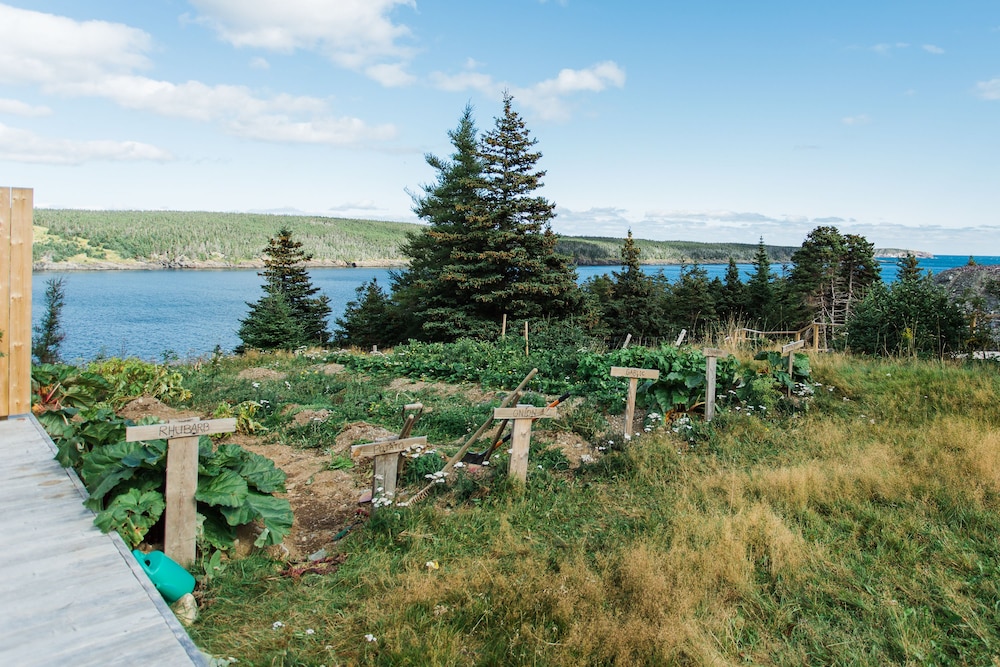 whale house guest house