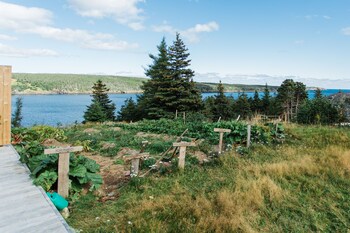 whale house guest house